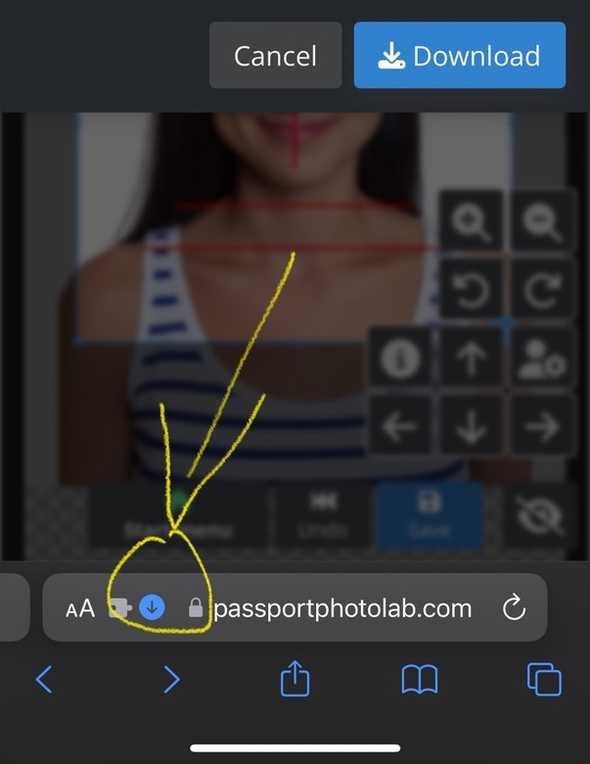 iOS Safari download instructions